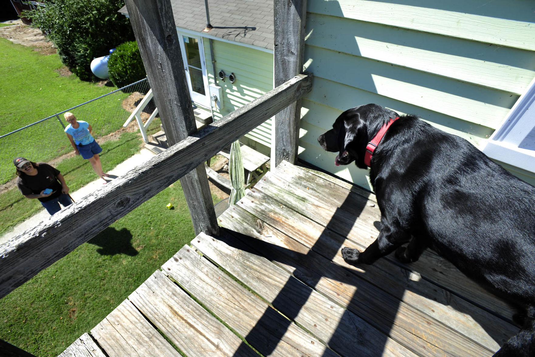 090511CancerDog2_0.jpg-1